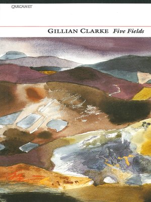 cover image of Five Fields
